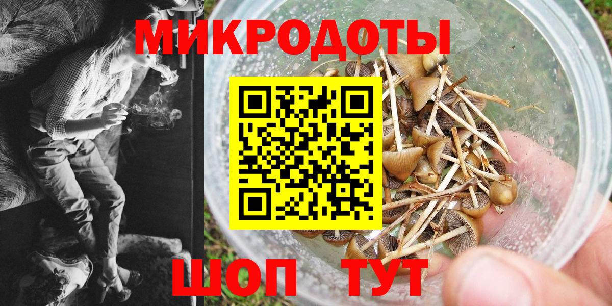 Галлюциногенные грибы Psilocybe  сколько стоит  Ижевск 