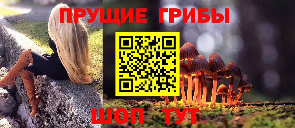 Ижевск  Псилоцибиновые грибы ЛСД  Вход с VPN  наркота  Псилоцибиновые грибы мицелий 