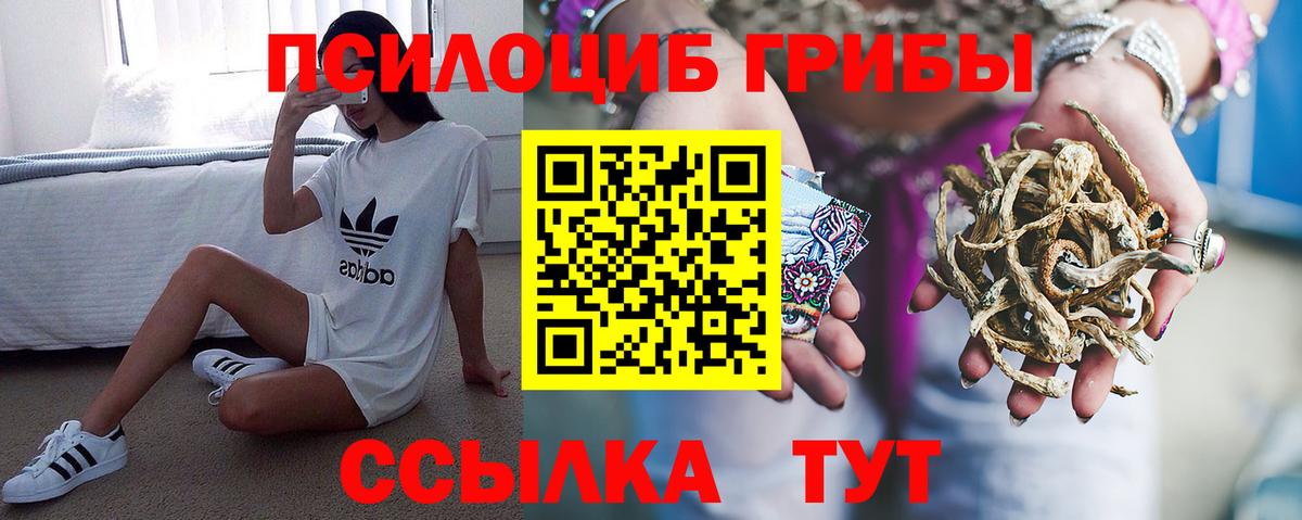 Галлюциногенные грибы Psilocybine cubensis Ижевск